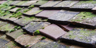 Salford roof repair costs